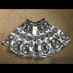 ZARA Skirt